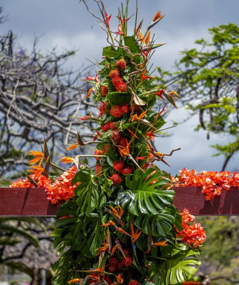 Tree With Red Berries