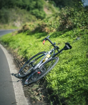 Bicycle Lying on the Side of Road