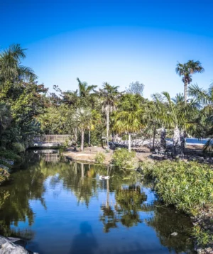 Body of Water With Trees Around It