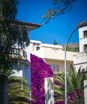House With Large Garden