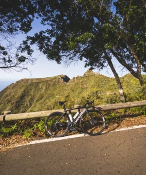 Bicycle Parked on Wooden Fence