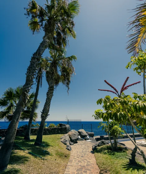 Path With Palm Trees and Body of Water in the Background