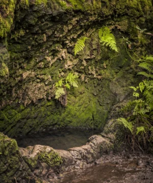 Cave in the Side of Mountain