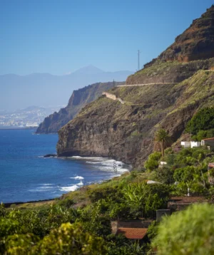 Beach With Hill and Trees