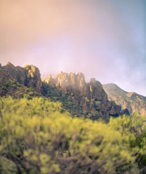 Rocky Mountain With Trees