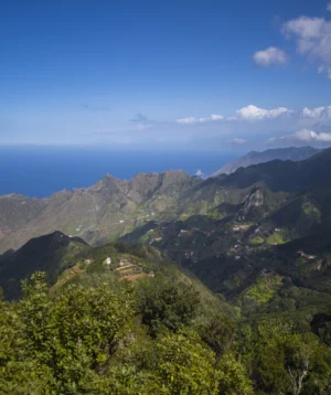 Landscape With Trees and Mountains in the Back