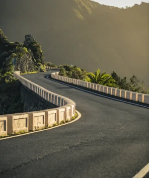 Road With Fence and Trees on the Side