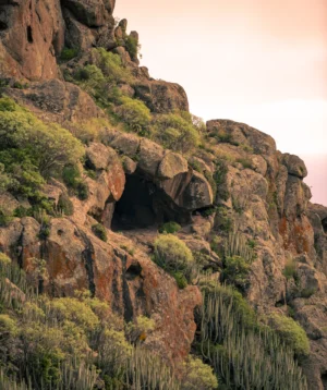 Rocky Cliff With Trees