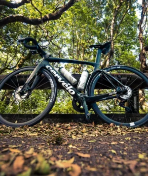 Bicycle Parked on Bench