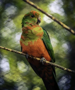 Bird Sitting on Branch