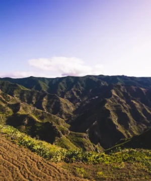 Landscape With Hills and Trees