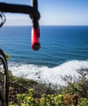 Bicycle on Path by the Water