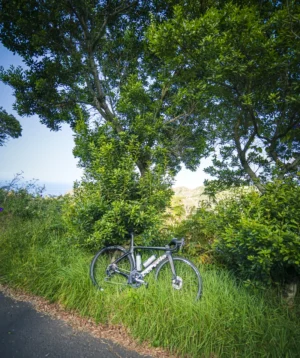 Bicycle Parked in Grassy Area