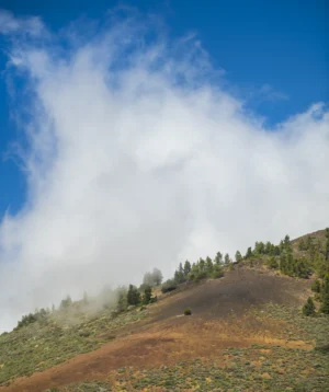 Large Cloud of Smoke