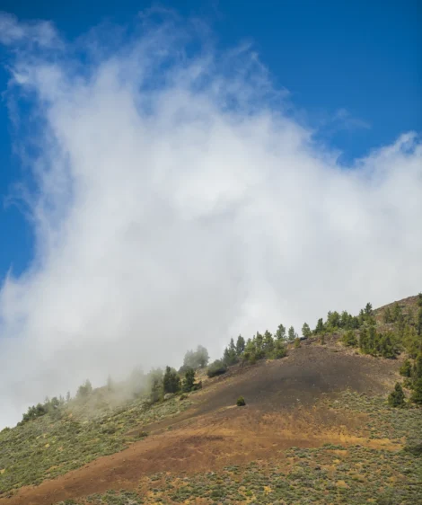 Large Cloud of Smoke