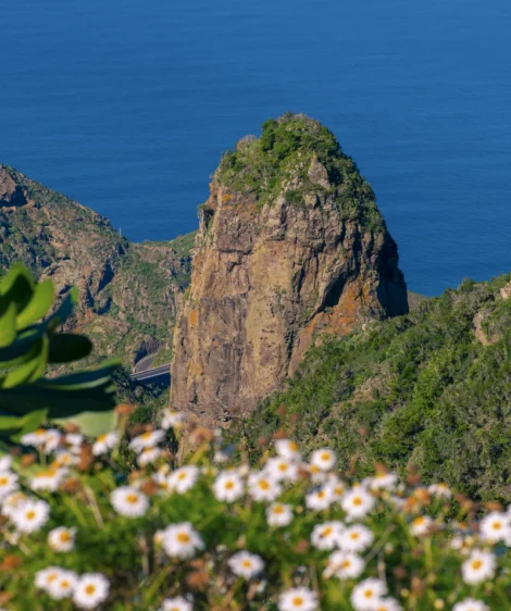 Rock Formation in the Middle of Field of Flowers