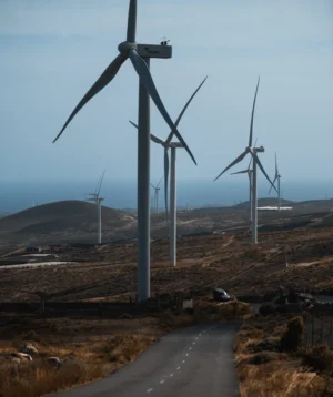 Group of Wind Turbines