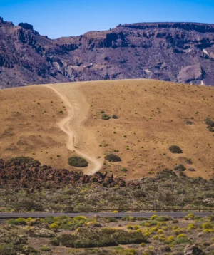 Dirt Road in the Desert