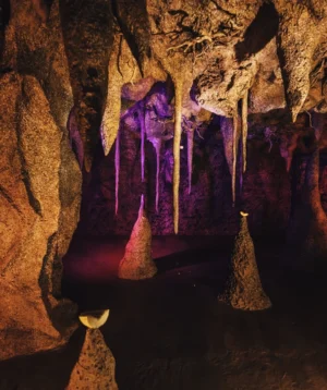 Cave With Few Bags of Ice