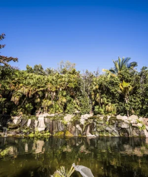Body of Water With Trees Around It