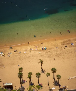 Beach With People and Palm Trees