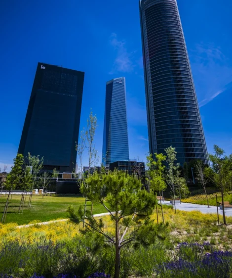 Few Tall Buildings With Cuatro Torres Business Arein the Background