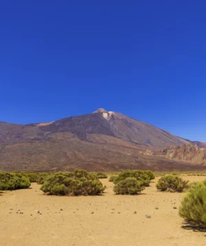Desert Landscape With Mountain in the Background