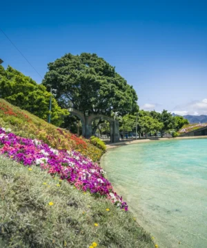 River With Flowers and Trees Along It