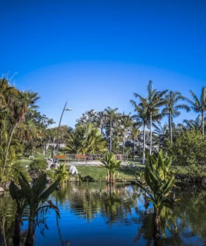 Body of Water With Trees Around It