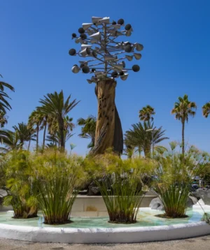 Tree With Many Round Objects on It