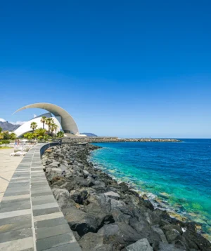Road Next to Body of Water With Bridge in the Distance