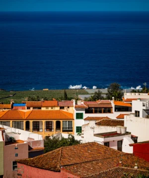 Group of Buildings by the Water