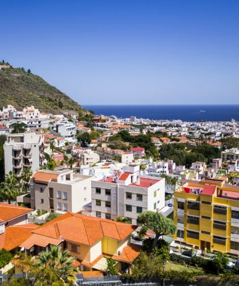City With Red Roofs