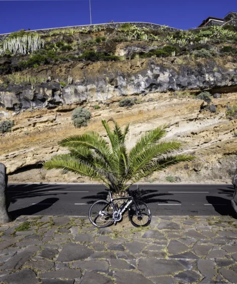 Bicycle Parked on Stone Path