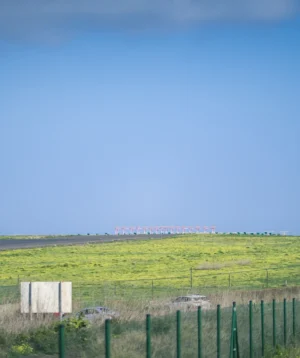 Field With Train in the Distance