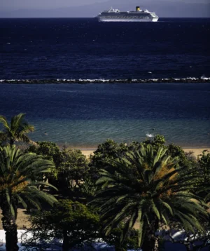 Cruise Ship in the Ocean
