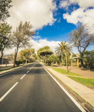 Road With Trees on the Side