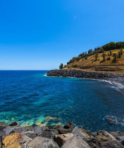 Rocky Beach With Hill and Trees on the Side