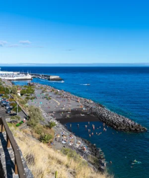 Road Next to Body of Water With Dock and Buildings