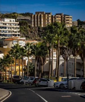 Parking Lot With Palm Trees and Buildings in the Background