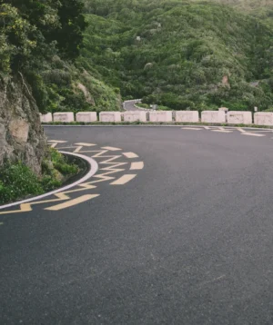 Road With Trees on the Side