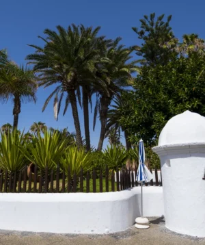 White Statue in Front of Fence and Trees