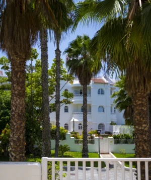 White Building With Palm Trees