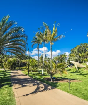 Path With Palm Trees and Statue of Horse