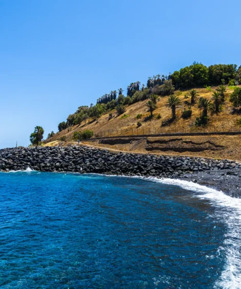 Rocky Beach With Trees and Hill in the Background