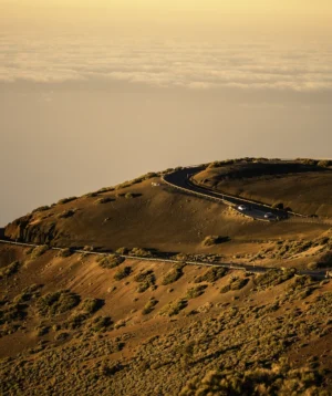 Landscape With Hills and Road