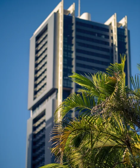 Tall Building With Palm Tree