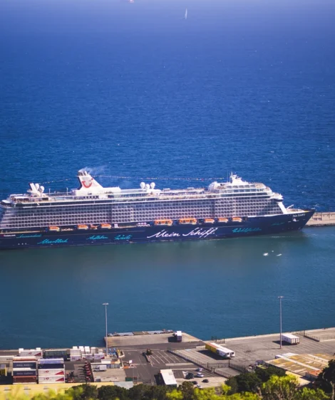 Large Cruise Ship in the Water