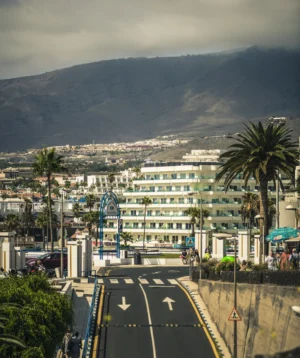 Road With Trees and Buildings on the Side