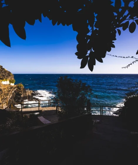 Beach With Fence and Trees